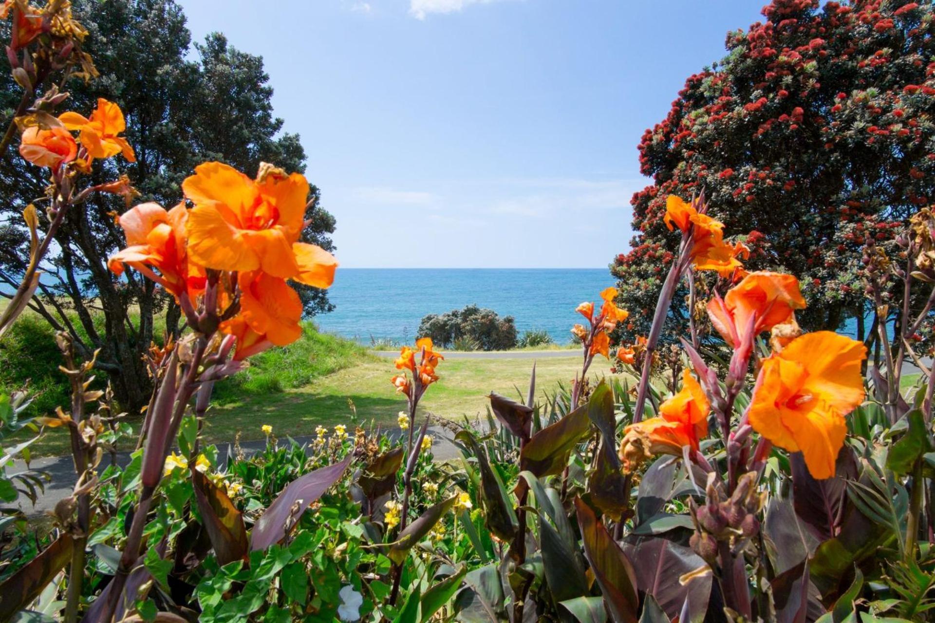 Sea Breeze On Belt By Coastal Walkway Villa New Plymouth Exterior photo